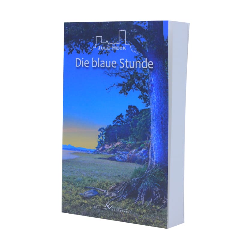 Die blaue Stunde - Gesellschaftsroman