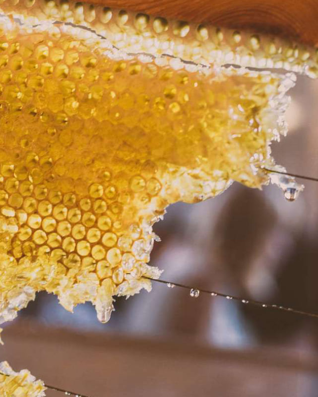 als Bildausschnitt ist eine entstehende Honigwabe zu sehen. Hier sind in einem Holzrahmen Drähte als Hilfe für die Bienen gespannt. Zwischen den Drähten und Rahmen sieht man eine Honigwabe in der Bilddiagonalen. Der Hintergrund ist unscharf und nicht erke