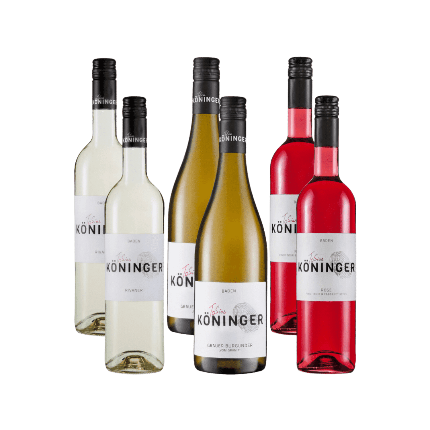 Wein Probierkiste I weiss-trocken  6x 0,75L