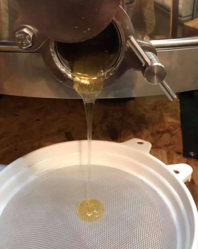 als Bildausschnitt der Auslauf der Honigschleuder geöffnet mit auslaufendem Honig in dünnem Rinnsal über ein Sieb in einen Eimer.