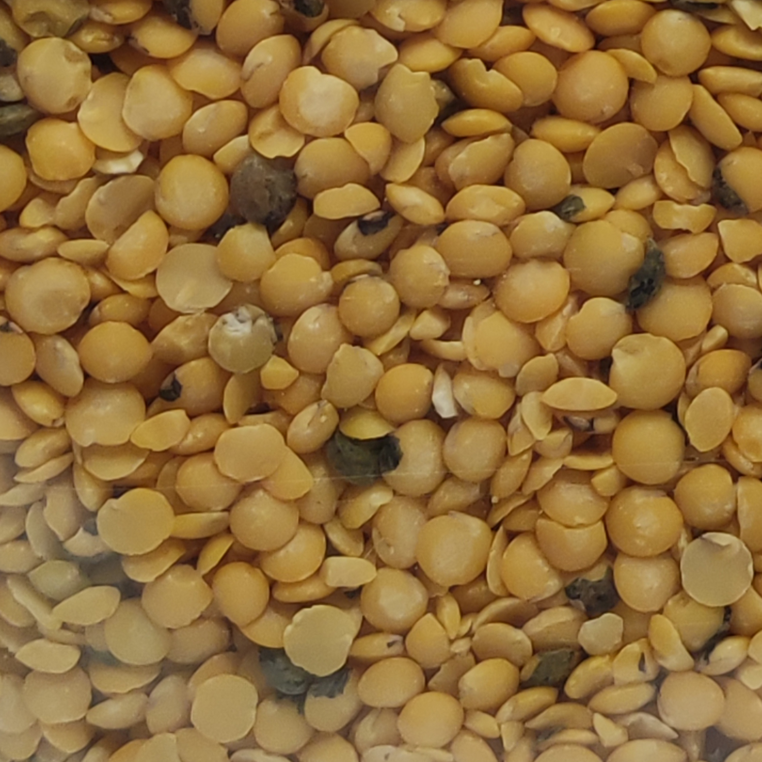 gelbe Berglinsen 500g