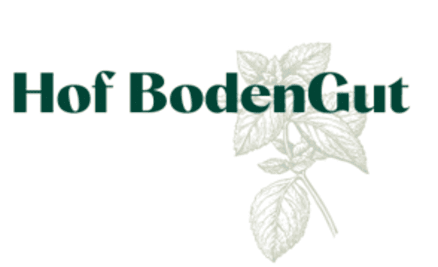 "Pfefferminze" Kräutertee - lose in der Pappdose 30g Acht Botaniker