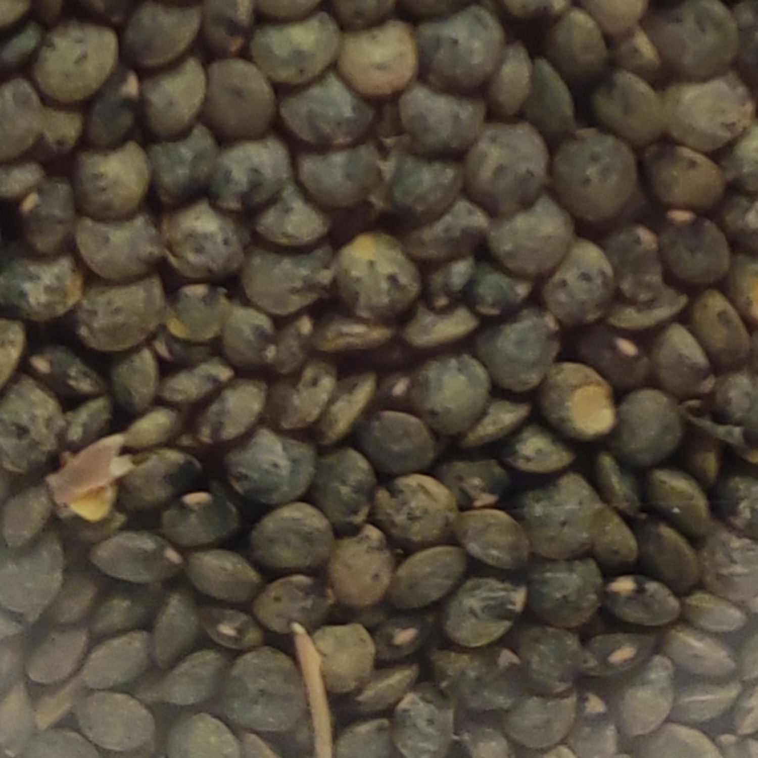 grüne Berglinsen 500g