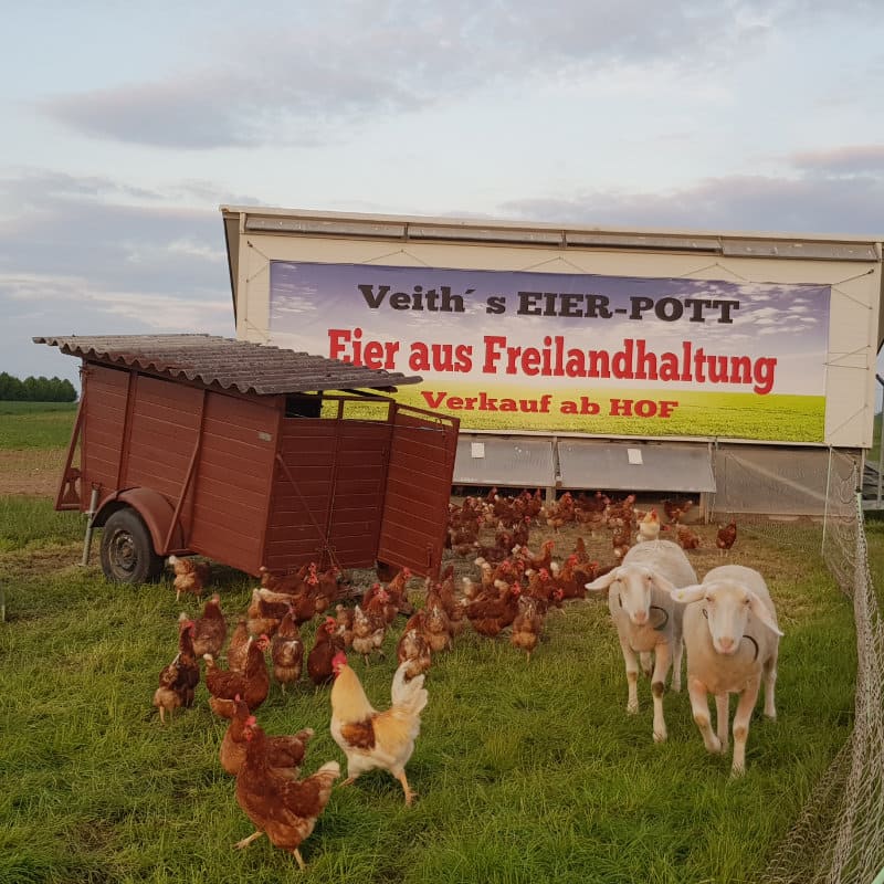 Dorheimer Herznudeln