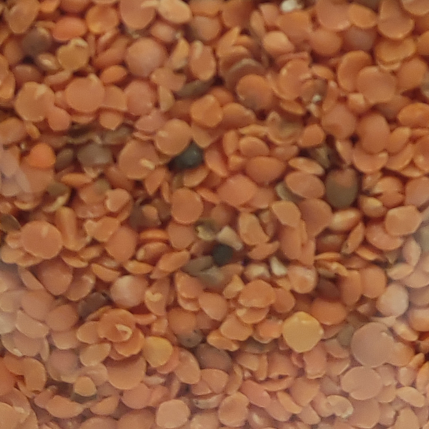 rote Berglinsen 500g