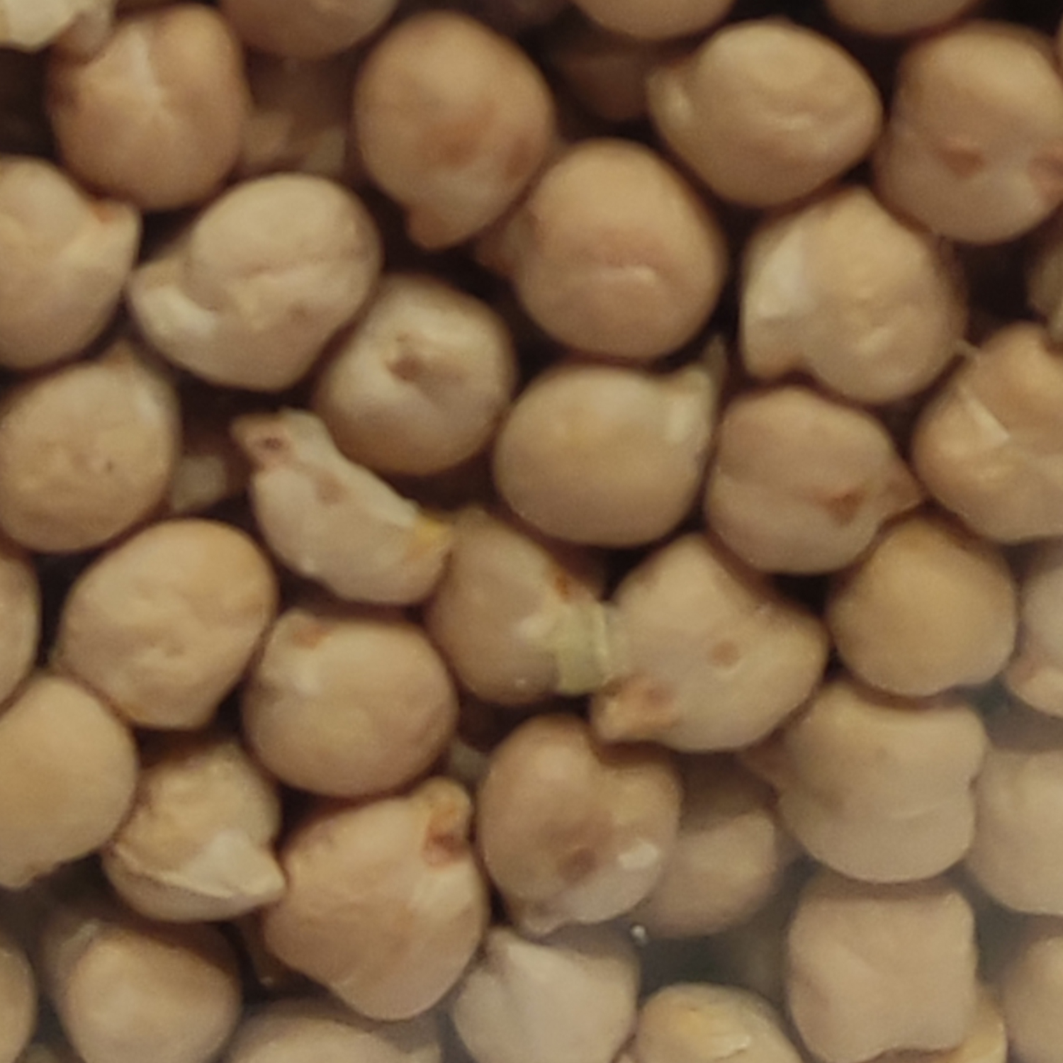 Kichererbsen, hell, 500gr.