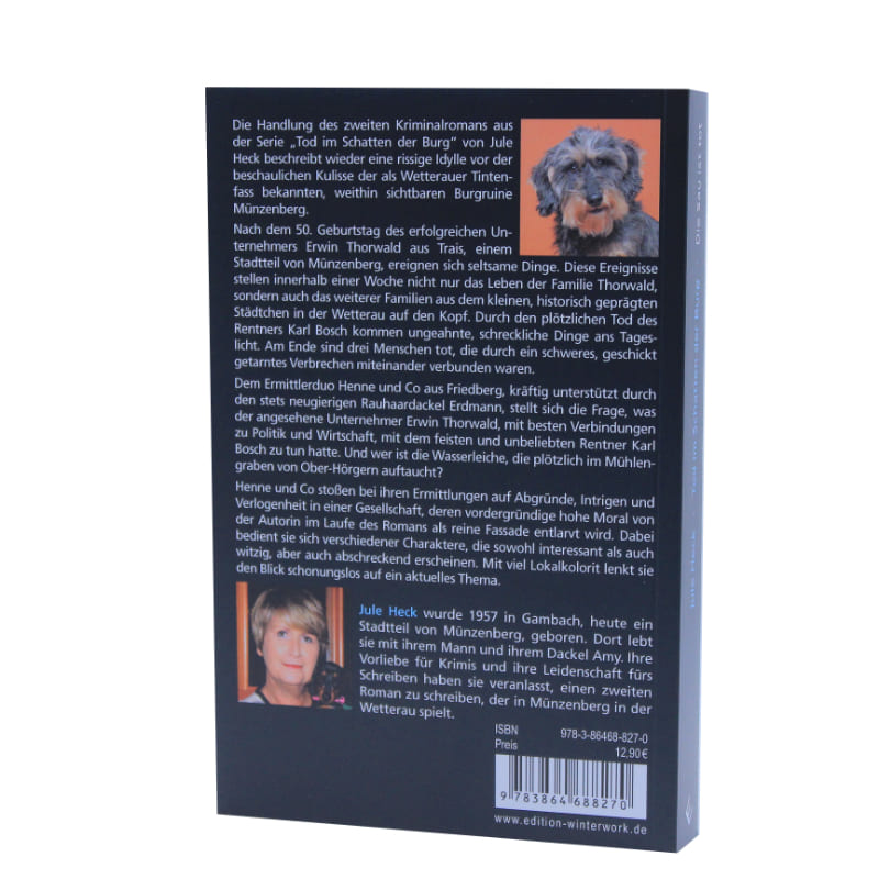 Eisiger Abgrund - Reihe "Tot im Schatten der Burg" Kriminalroman